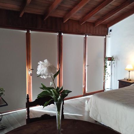 Cabana Monoambiente De Descanso Y Relax En Zona Barrio La Florida Pet Friendly マル・デル・プラタ エクステリア 写真
